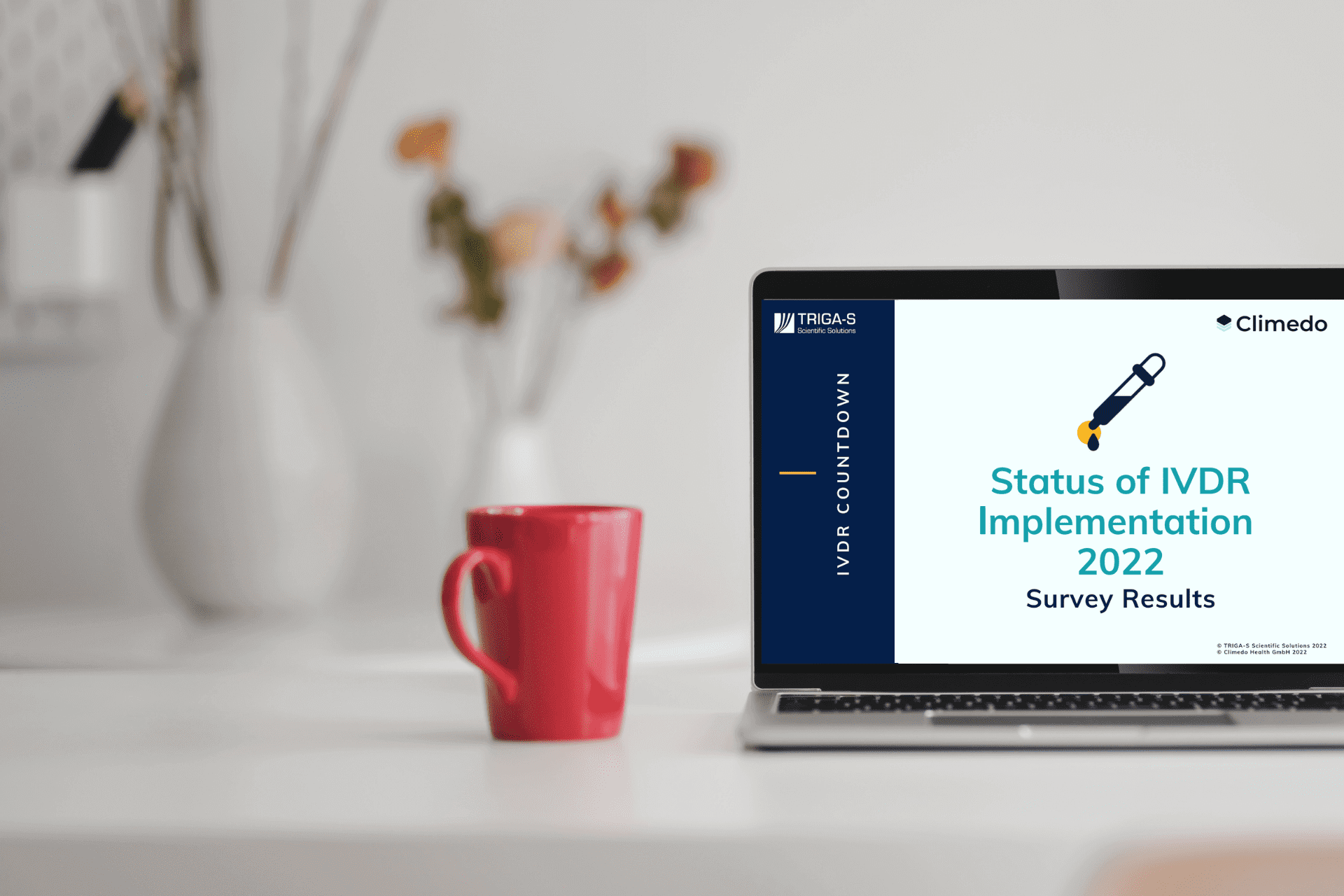Status of IVDR Implementation 2022